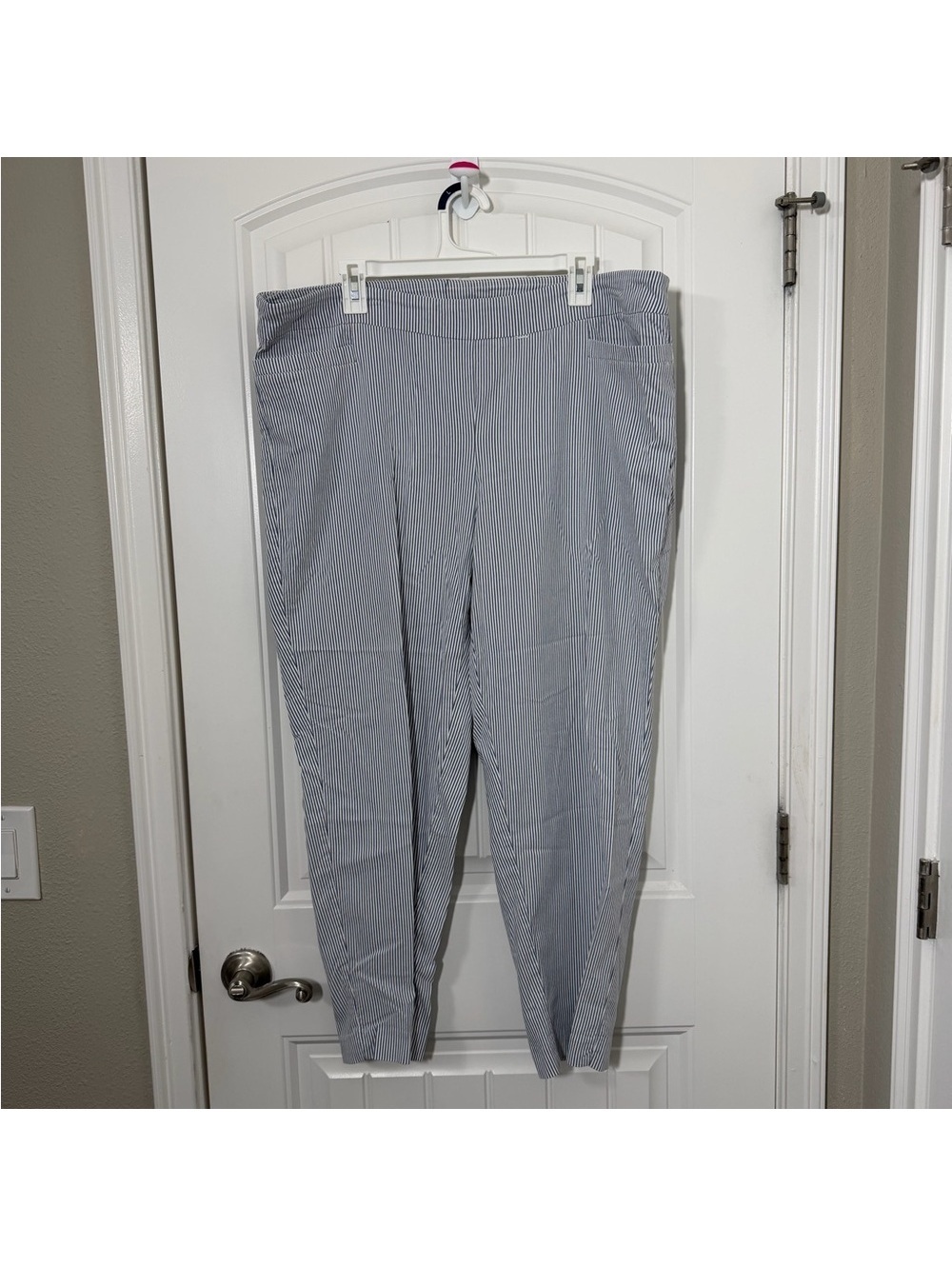 Zac & Rachel Blue and White Pinstripe Pants 20